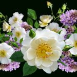 Bordura fiorita con diverse piante colorate in un giardino, ideale per un effetto wow.