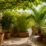 Quali sono le migliori piante per ombreggiare un terrazzo? Soluzioni pratiche che decorano e proteggono