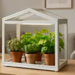 Mini serre per interni: il modo più semplice per avere piante sane senza rinunciare al design