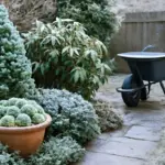 Le piante resistenti al freddo per il tuo giardino: soluzione definitiva contro il gelo invernale
